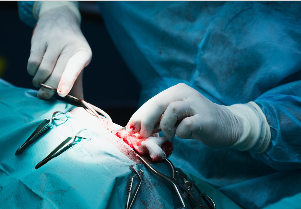 Pyometra Miami (1200 1800) Good Care Animal Clinic